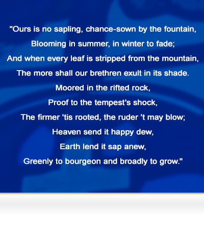 Ours is no sapling, chance-sown by the fountain,
Blooming in summer, in winter to fade